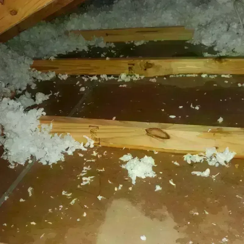 Attic Water Damage in Pemberwick, CT