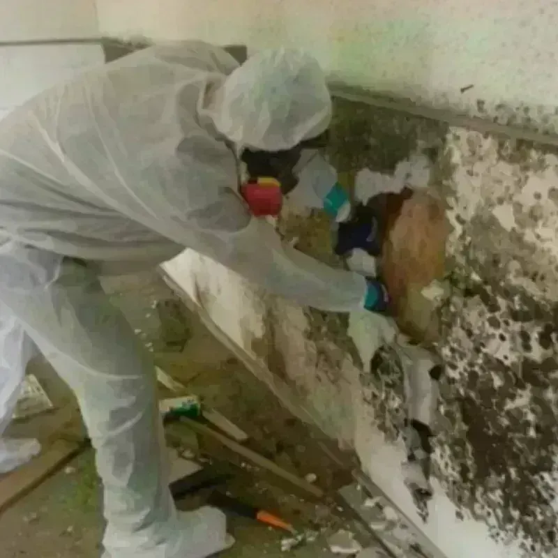 Mold Remediation and Removal in Pemberwick, CT